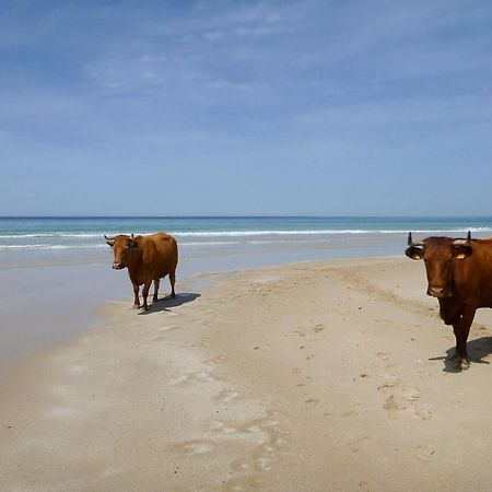 Lxr Oasis Del Mar Tarifa 2Hab Apt ภายนอก รูปภาพ